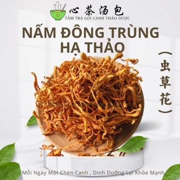 Đông Trùng Hạ Thảo Khô(Nấm đông trùng hạ thảo khô) - Tâm Trà Gói Canh Thảo Dược