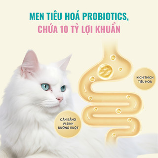 Hạt Cho Mèo Bite Of Wild K42 Combo 10 Gói 50g Viên Mềm Dễ Tiêu Hoá Không Chứa Ngũ Cốc Cho Mèo Con