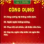 SET YẾN CHƯNG SẴN KHÁNH HOÀ 100% YẾN THẬT - ĐÔNG TRÙNG HẠ THẢ