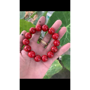 vòng san hô đỏ 14ly "Red coral bracelet"