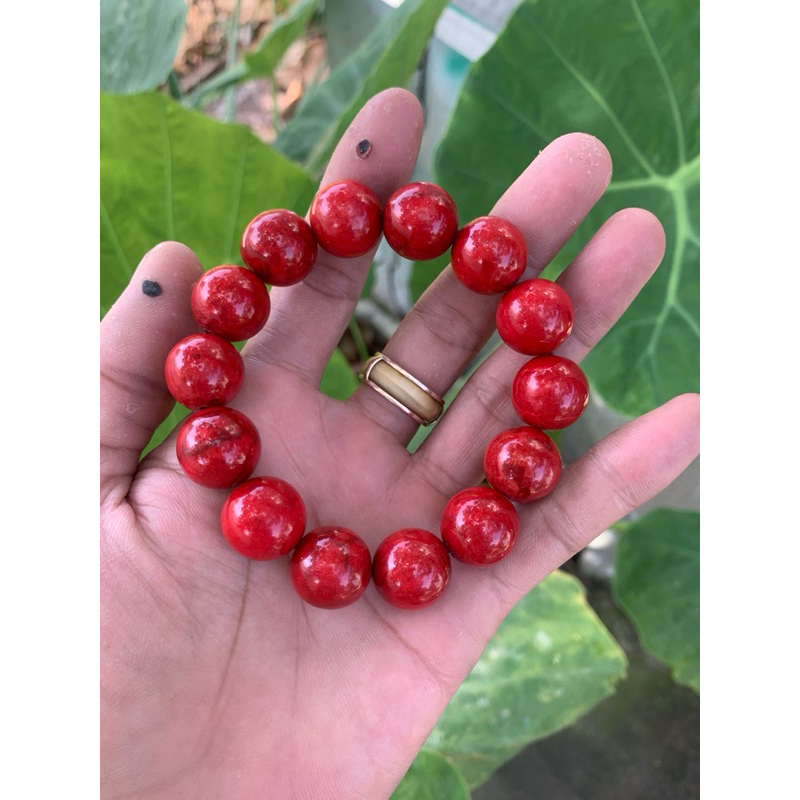 vòng  san hô đỏ 14ly "Red coral bracelet"