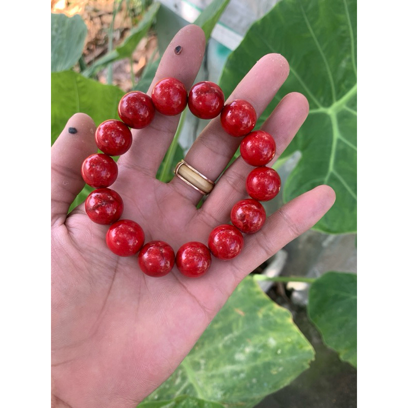 vòng  san hô đỏ 14ly "Red coral bracelet"