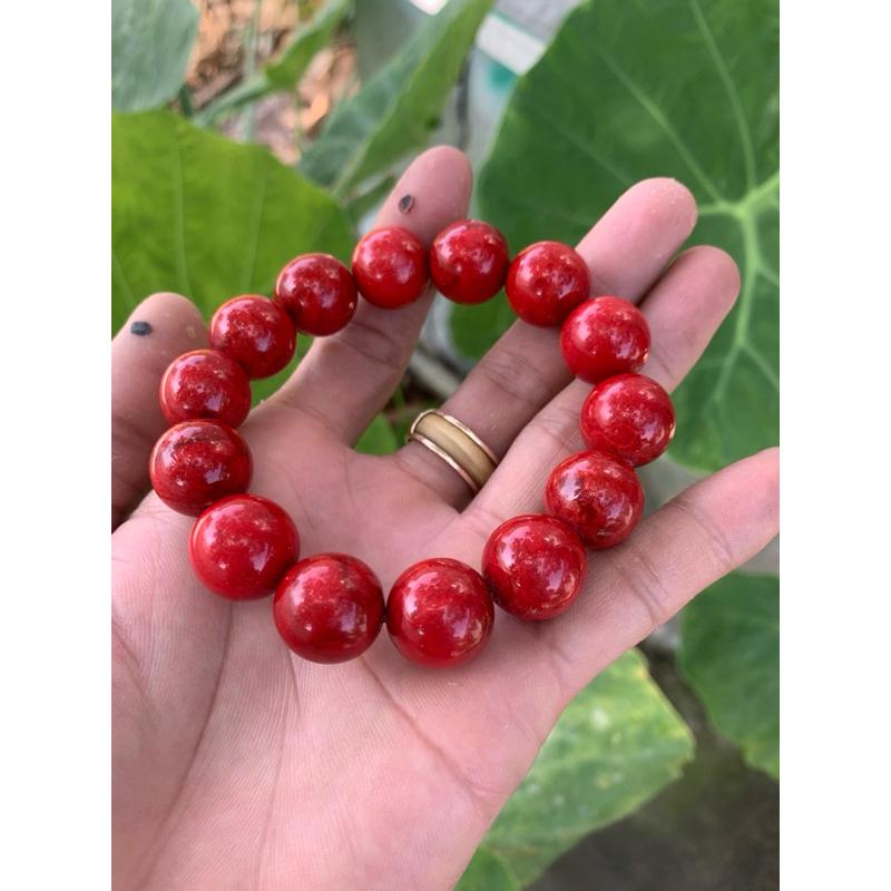 vòng  san hô đỏ 14ly "Red coral bracelet"