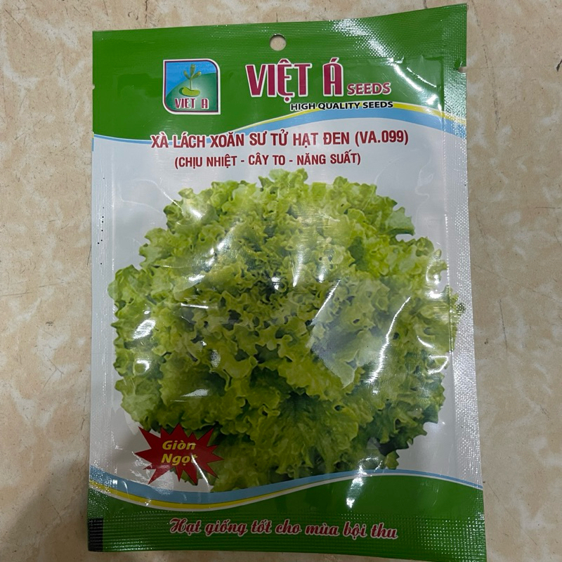 Hạt giống rau xà lách xoăn sư tử  chịu nhiệt chịu mưa