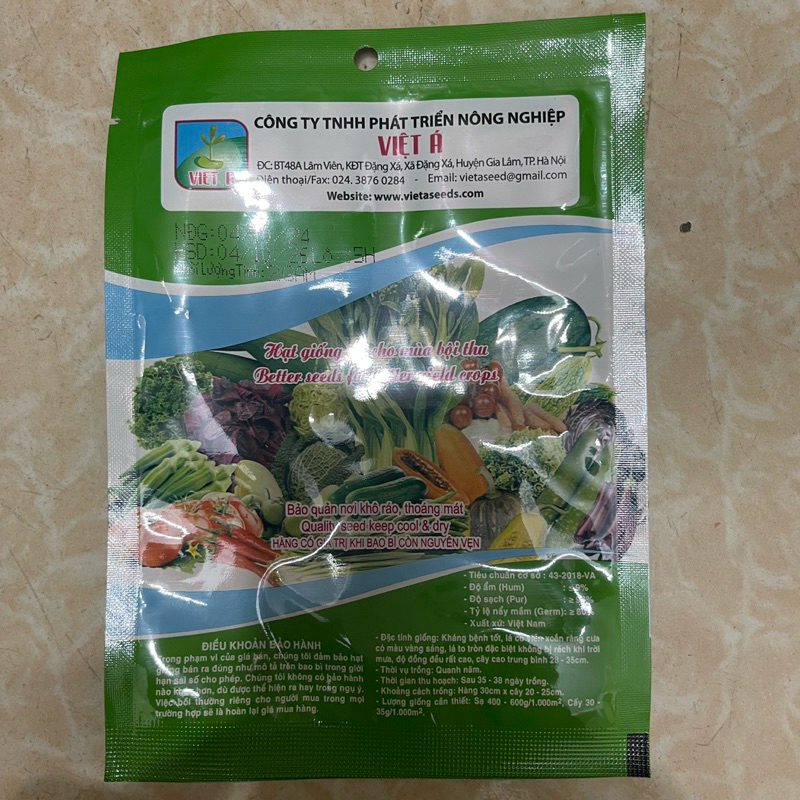 Hạt giống rau xà lách xoăn sư tử  chịu nhiệt chịu mưa
