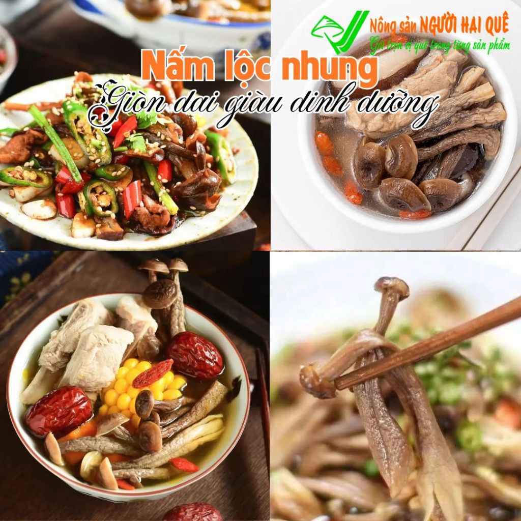 Nấm lộc nhung LOẠI 1 SỈ LẺ 1kg/500g | Nông sản Người Hai Quê