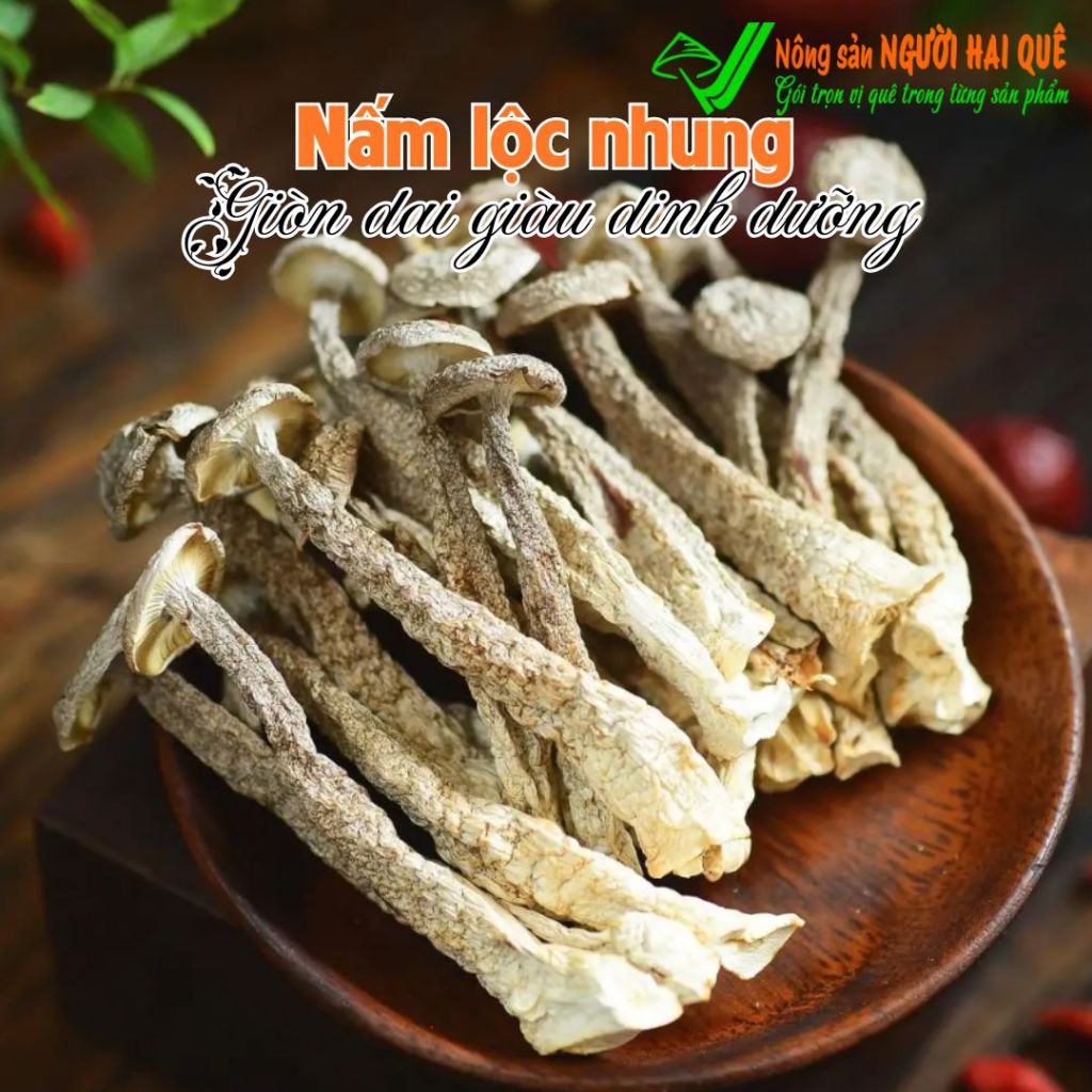 Nấm lộc nhung LOẠI 1 SỈ LẺ 1kg/500g | Nông sản Người Hai Quê