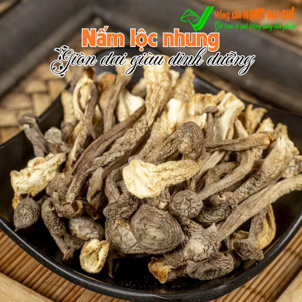 Nấm lộc nhung LOẠI 1 SỈ LẺ 1kg/500g | Nông sản Người Hai Quê