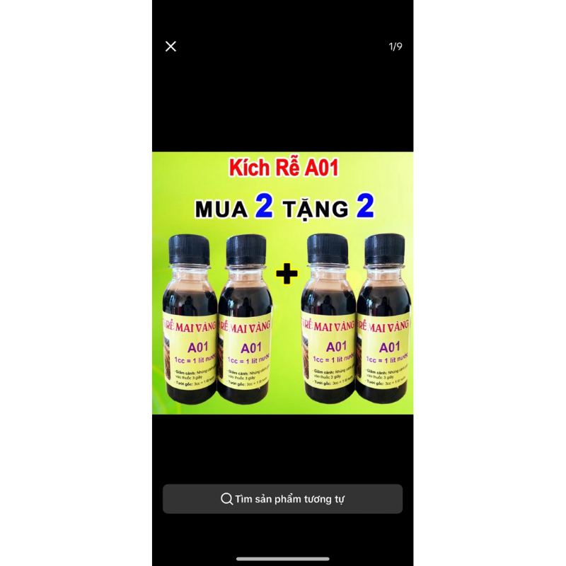 combo 2 lọ tặng 2 - Kích rễ Mai vàng A01