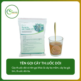 CÂY DÒI THÂN TÍM 50 GÓI TÚI LỌC (Dòi tía) Loại 1 Tiêu đờm, chữa ho | Dược liệu Thanh Loan