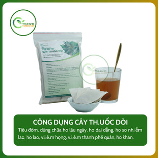 CÂY DÒI THÂN TÍM 50 GÓI TÚI LỌC (Dòi tía) Loại 1 Tiêu đờm, chữa ho | Dược liệu Thanh Loan