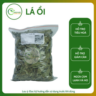 1kg LÁ ỔI Loại 1 (Khô, Sạch, Thơm) Giảm Cholesterol, Cải Thiện Tiêu Hoá | Dược Liệu Thanh Loan