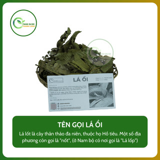 1kg LÁ ỔI Loại 1 (Khô, Sạch, Thơm) Giảm Cholesterol, Cải Thiện Tiêu Hoá | Dược Liệu Thanh Loan