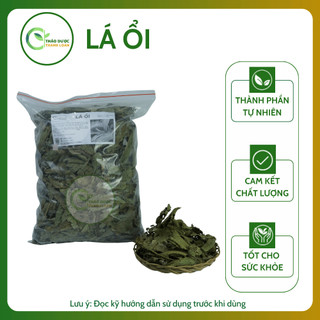 1kg LÁ ỔI Loại 1 (Khô, Sạch, Thơm) Giảm Cholesterol, Cải Thiện Tiêu Hoá | Dược Liệu Thanh Loan