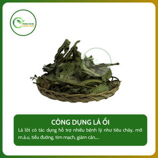 1kg LÁ ỔI Loại 1 (Khô, Sạch, Thơm) Giảm Cholesterol, Cải Thiện Tiêu Hoá | Dược Liệu Thanh Loan