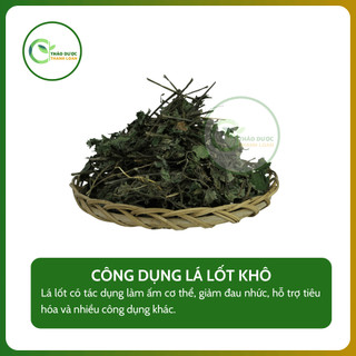 1kg LÁ LỐT Loại 1 (Khô, Sạch, Thơm) Giảm Nhức Xương Khớp, Phong Tê Thấp | Dược Liệu Thanh Loan