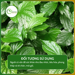 1kg LÁ LỐT Loại 1 (Khô, Sạch, Thơm) Giảm Nhức Xương Khớp, Phong Tê Thấp | Dược Liệu Thanh Loan