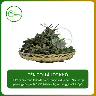 1kg LÁ LỐT Loại 1 (Khô, Sạch, Thơm) Giảm Nhức Xương Khớp, Phong Tê Thấp | Dược Liệu Thanh Loan