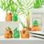 Set cặp đôi capybara và rùa xanh trang trí bàn làm việc, decor taplo xe hơi, ô tô, dán đỉnh màn hình, quà tặng