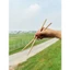 Đũa Gỗ Tre Khắc Đốt - Hoa Văn Đồ Thủ Công Cao Cấp, An Toàn, Không Chất Bảo Quản