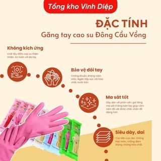 Găng tay cao su Hàn Quốc Đông cầu vồng đủ size
