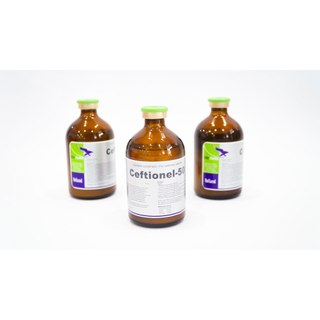 Thuốc thú y Interchemie Ceftionel 50 -100ml dùng Viêm vú viêm móng viêm phổi chó mèo gia súc gia cầm