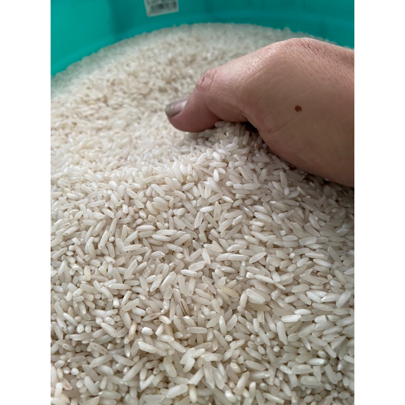 Gạo Nở 504 củ (siêu nở) túi 5kg | Shopee Việt Nam