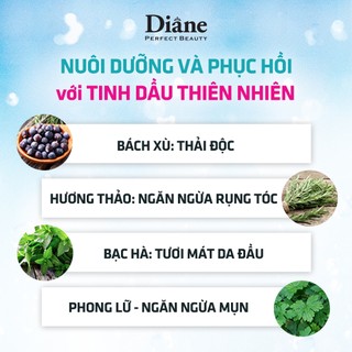Dầu gội đầu tẩy tế bào chết da đầu Diane Perfect Beauty Extra Scalp Refresh Liquid Shampoo 240ml