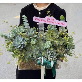 [HỎA TỐC-CHUYÊN SỈ] Hộp giỏ mica nhựa chữ nhật đựng hoa quả, box cắm hoa, trồng hoa hộp đựng quả sang trọng sang chảnh