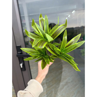 Cành lá Thuỷ Trúc 3 nhánh decor tường cỏ, lá điểm - Cành lá giả
