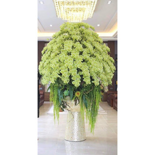 Cành hoa lan hồ điệp cao su 9 bông | Lan Ướt thân đốm- Hoa trang trí, hoa decor
