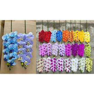 Cành hoa lan hồ điệp cao su 9 bông | Lan Ướt thân đốm- Hoa trang trí, hoa decor