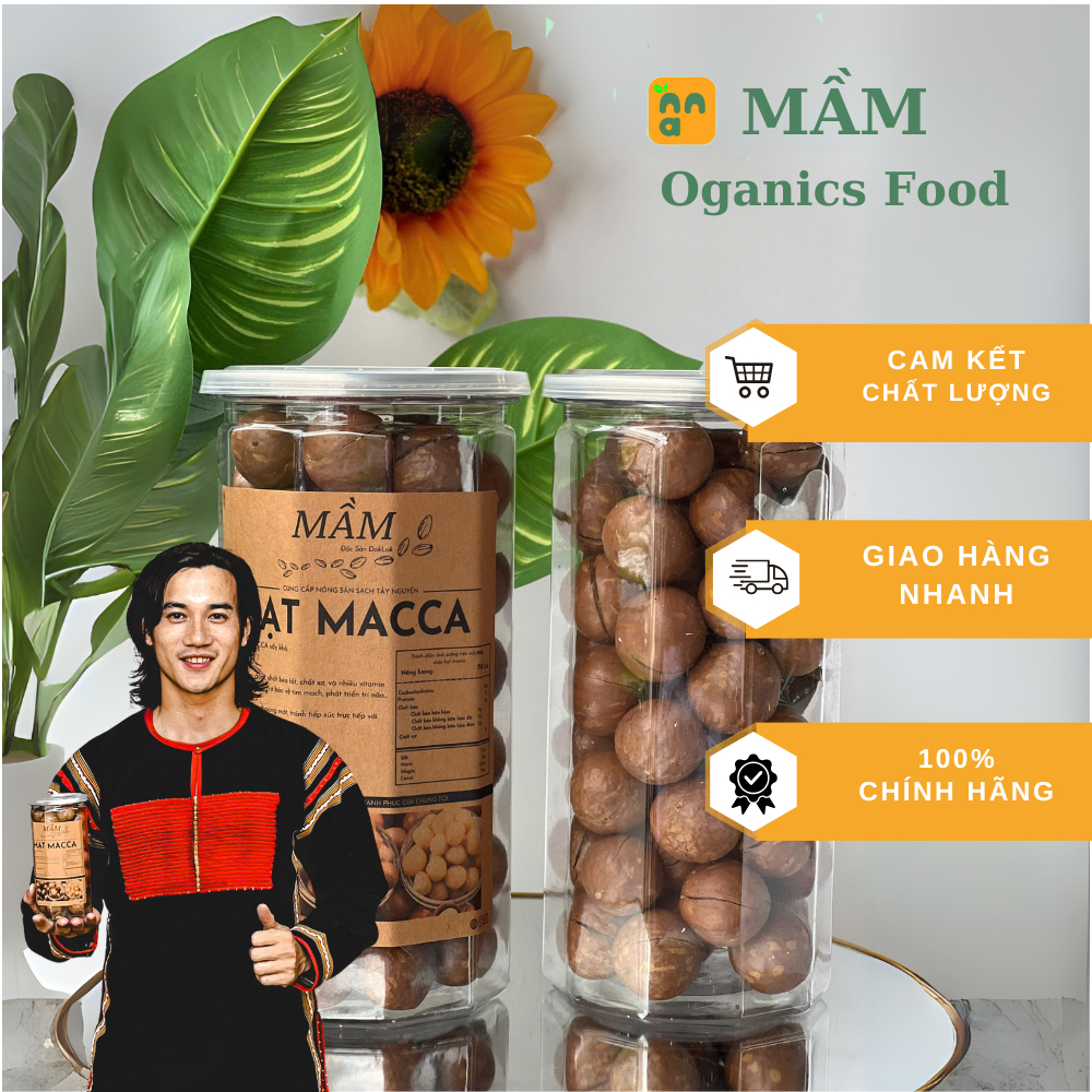 Hạt Macca Tây Nguyên Chẻ Sẵn Macca Đắk Lắk Hộp 500G | Shopee Việt Nam
