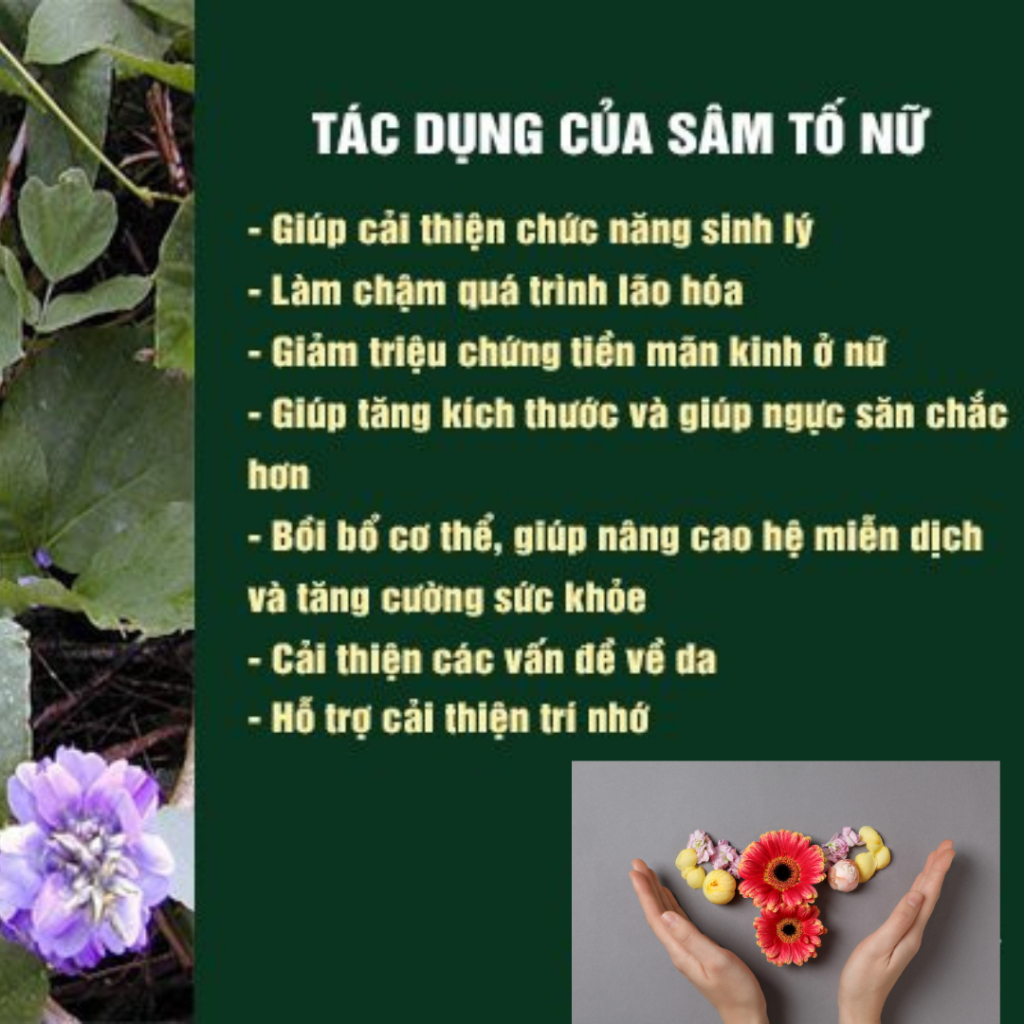 Trà sâm tố nữ BỘI LAN ĐƯỜNG MIX giúp giảm nám, tàn nhang, cân bằng nội tiết, giảm khô hạn - 50 lọc