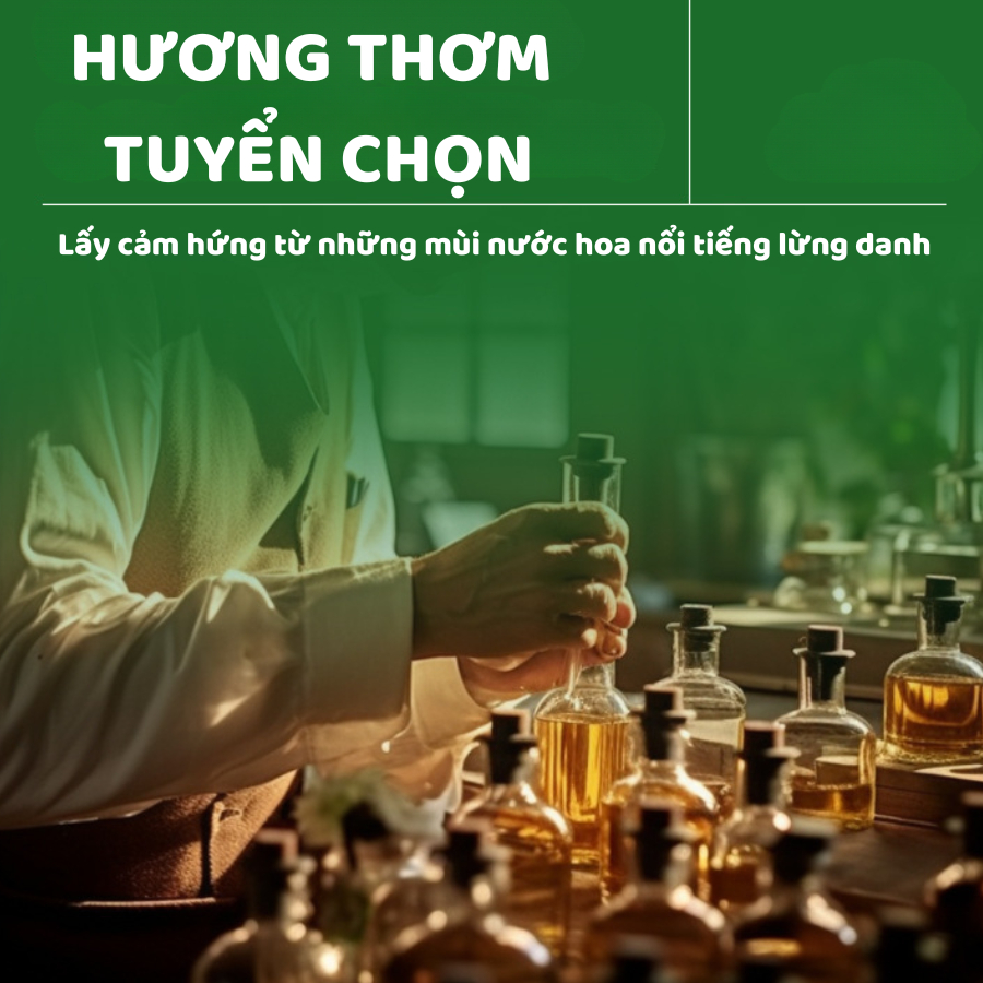 Túi Hút Ẩm Mùi Thơm Nước Hoa 2 Ngăn Siêu Thấm Hút Ẩm Chống Mốc, Túi Thơm Để Tủ Quần Áo, Tủ Giày