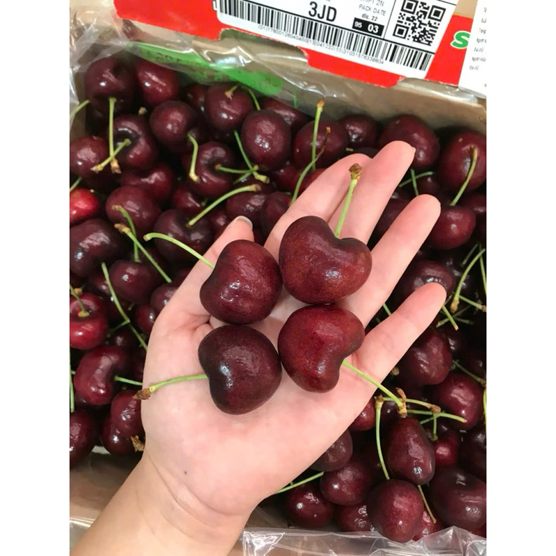 SẴN SG - THÙNG 2,5KG CHERRY CHILE SIZE ĐẠI 3J SIÊU NGON