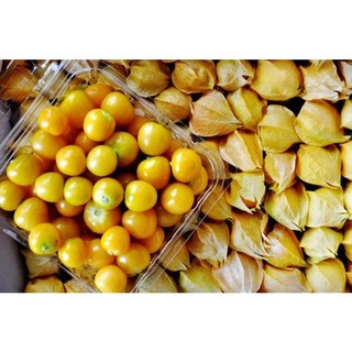 HẠT GIỐNG QUẢ THÙ LÙ NAM MỸ ( TẦM BÓP)