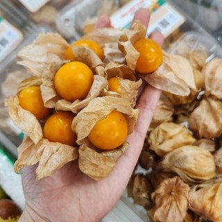 HẠT GIỐNG QUẢ THÙ LÙ NAM MỸ ( TẦM BÓP)