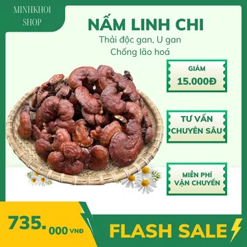 Nấm Linh Chi Đỏ Cao Cấp,Nấm linh chi rừng đỏ khô Tây Bắc thu hái, phơi khô tự nhiên