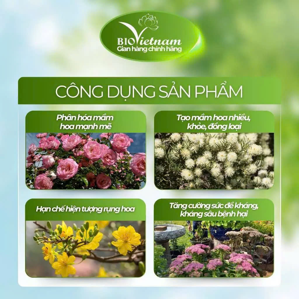 Phân bón Kích thích ra hoa cực mạnh 25gr, vua dưỡng hoa lâu tàn, vua Phân bón Siêu Tạo Mầm Hoa X2 Chitosan kích ra hoa
