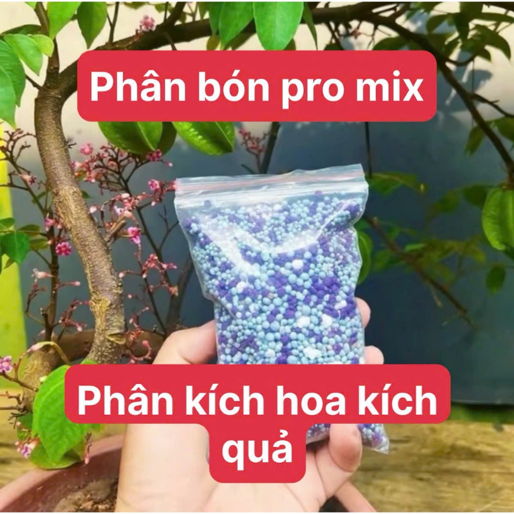 phân bón kích quả MIC ( chính hãng )