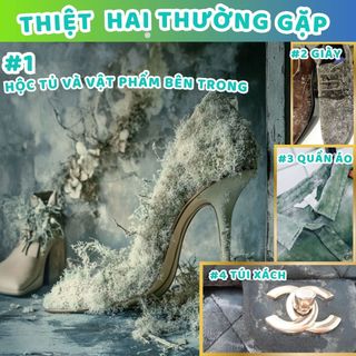 Gói hút ẩm túi xách Absorgel chống được hiện tượng mốc hôi bong tróc da