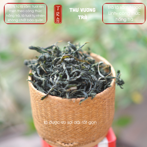 Trà lá sâm Ngọc Linh theo công thức hồng trà, sản phẩm mới 2025 [Thư Vương Trà] đóng hộp thiếc 50gr