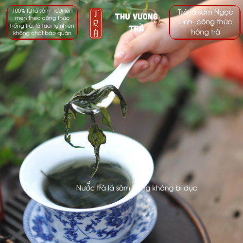 Trà lá sâm Ngọc Linh theo công thức hồng trà, sản phẩm mới 2025 [Thư Vương Trà] đóng hộp thiếc 50gr
