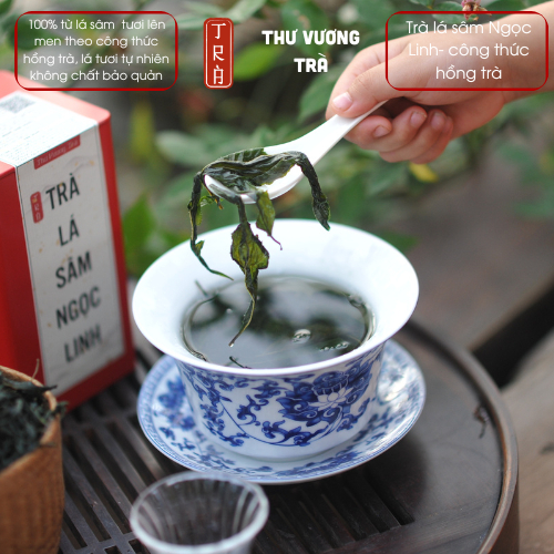Trà lá sâm Ngọc Linh theo công thức hồng trà, sản phẩm mới 2025 [Thư Vương Trà] đóng hộp thiếc 50gr
