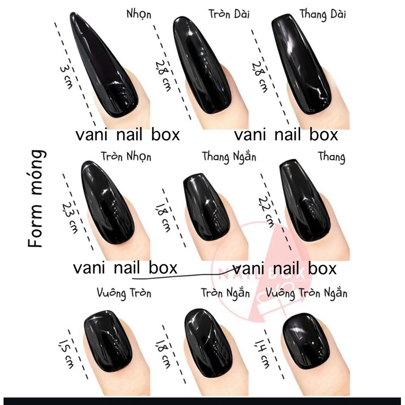 ( hỏa tốc) S17 NAIL BOX THẠCH NUDE TÔN DA TAY SCONAILBOX