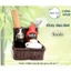 Khay đựng muỗng TL-064 đũa Nhựa, khay Gia Vị, Quán Ăn, Rẻ Đẹp Bền đẹp tốt nhất
