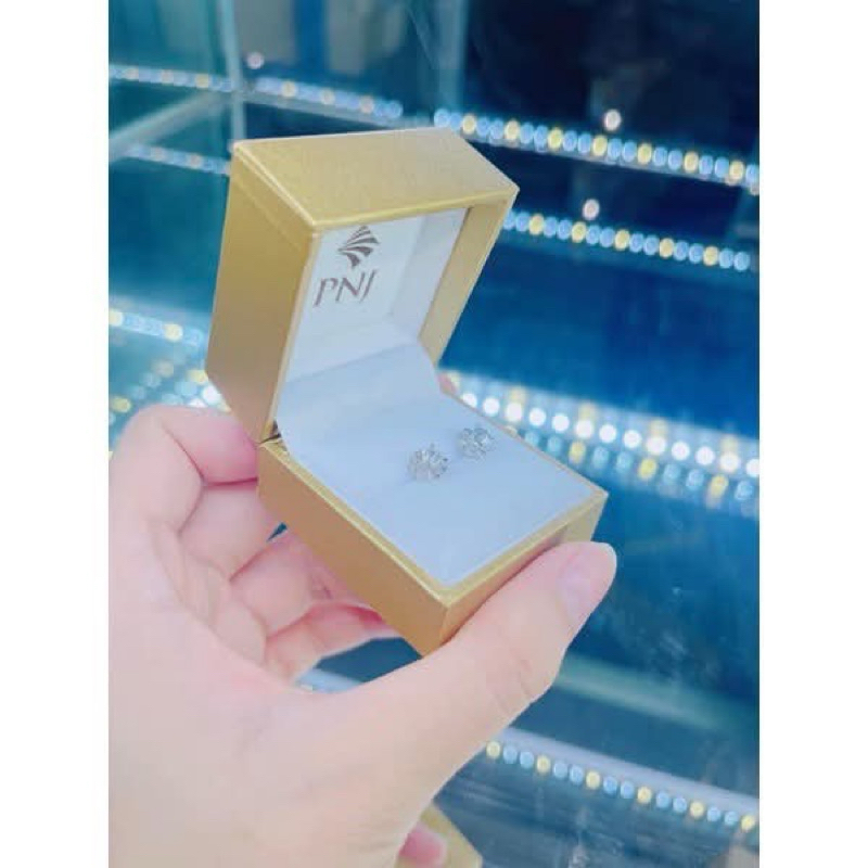 Hộp bông tai-bao gồm túi giấy xanh đựng hộp