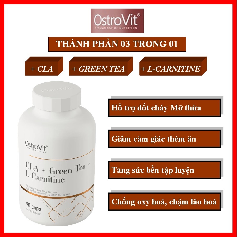 ostrovit cla green tea l carnitine CLA + Green Tea + L-Carnitine - купити main image 1