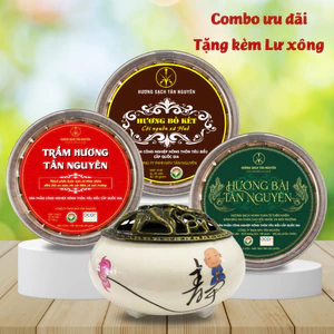 Combo 3 Hộp Nụ Trầm, Nụ Bài Và Nụ Bồ Kết, Xông Nhà Thanh Lọc Không Khí, Khử Ẩm Mốc